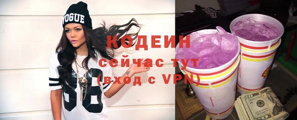 сатива Ростов