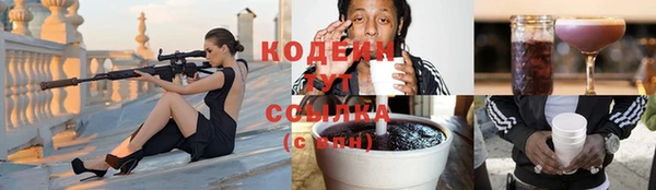 сатива Ростов