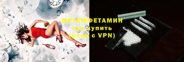 сатива Ростов