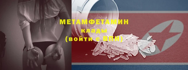 сатива Ростов