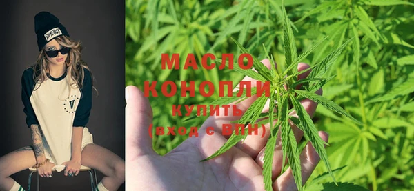 сатива Ростов