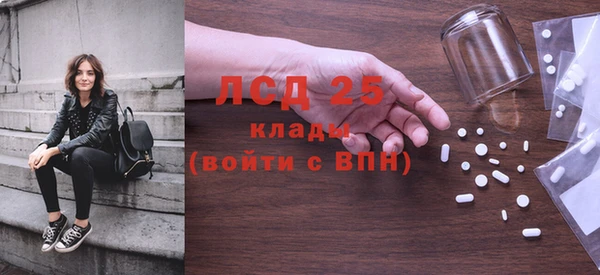 сатива Ростов
