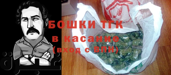 сатива Ростов